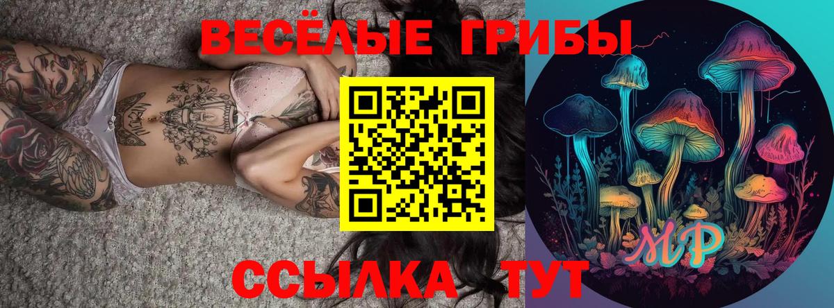 A-PVP СК кристаллы  Вход с VPN  МЕФ кристаллы  COCAIN  МЕФ  Новокузнецк  Каннабис  АМФЕТАМИН кристаллы  MDMA 