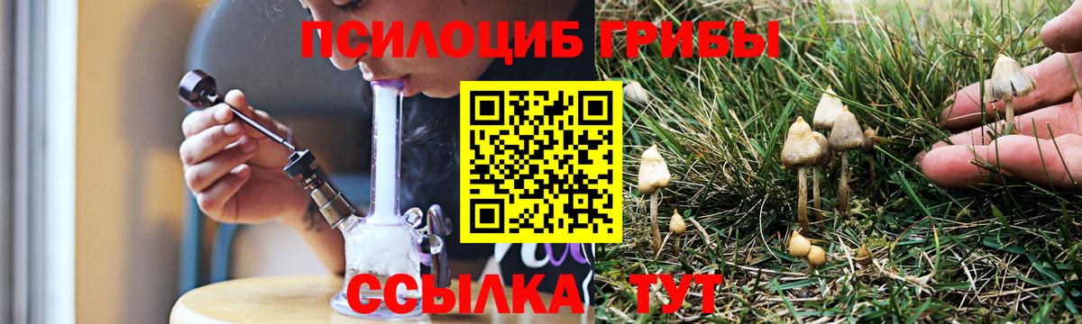 Псилоцибиновые грибы мицелий  Вход с VPN  Новокузнецк 