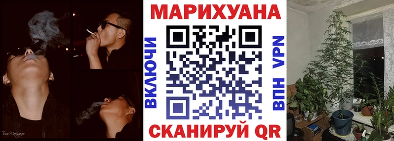 где купить наркотик  Новокузнецк  Шишки марихуана Bruce Banner 