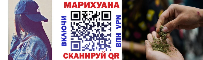 Конопля сатива Новокузнецк