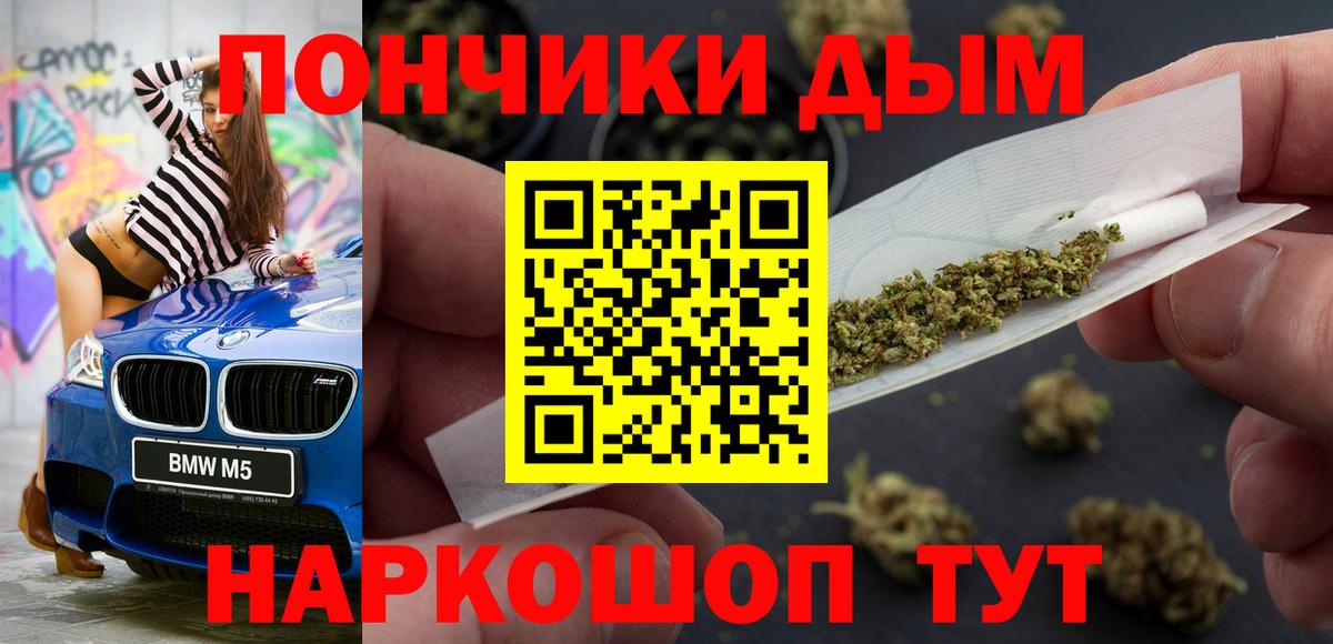 Каннабис сатива Новокузнецк